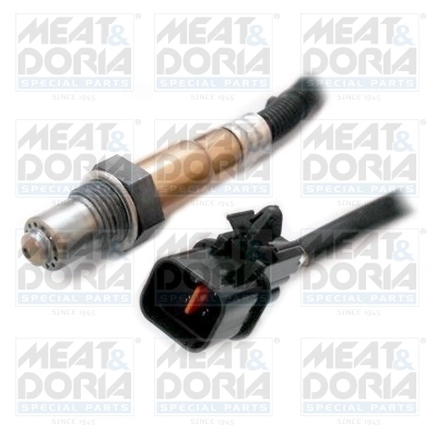 Oxygen Sensor